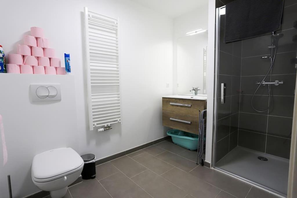 Appartement Chez Alexane à Annecy Extérieur photo